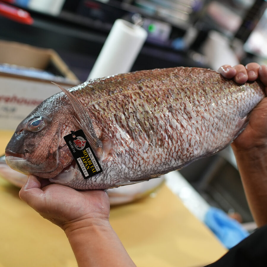 Chef holding a whole fresh fish